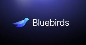 Buy Verified Bluebird Accounts