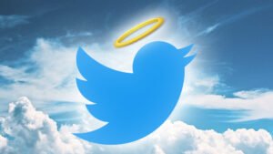 Buy Verified Bluebird Accounts